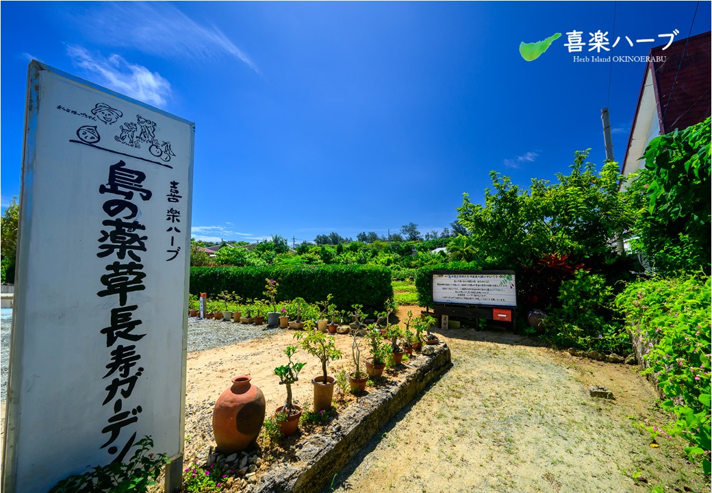 島の薬草長寿ガーデン」 | NPO法人喜楽ハーブおきのえらぶ